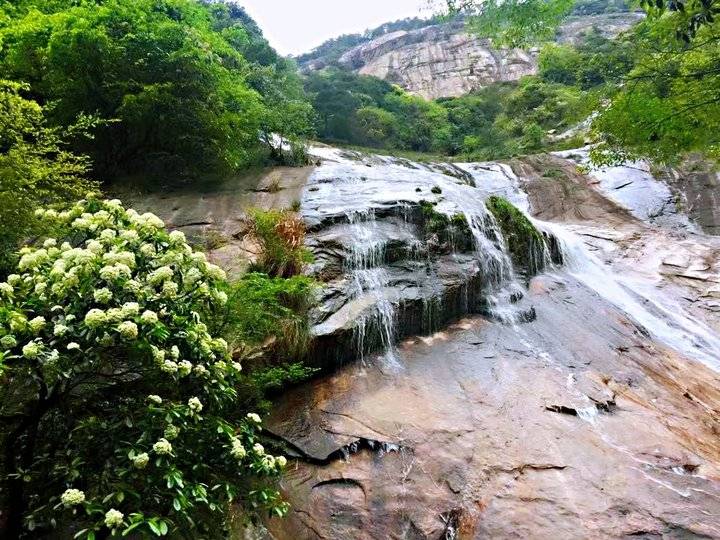 《黄山之旅》这真的只是抛砖引玉,更美的在后面